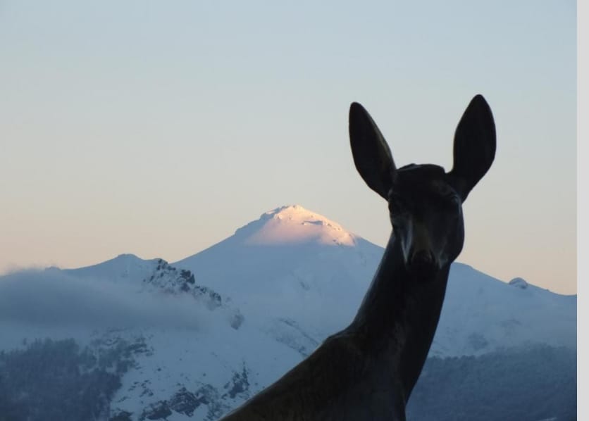 Turismo activo, deportes y naturaleza