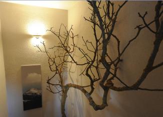 Posada Bistruey habitaciones y estancias